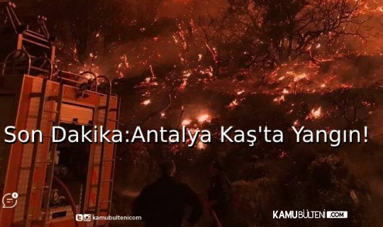 Son Dakika: Antalya Kaş'ta Yangın!