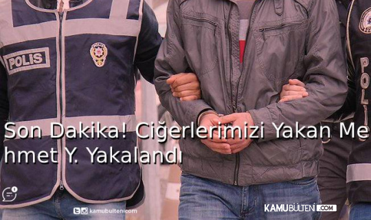 Son Dakika: Ciğerlerimizi Yakan Mehmet Y. Yakalandı Son Dakika: Ciğerlerimizi Yakan Mehmet Y. Yakalandı