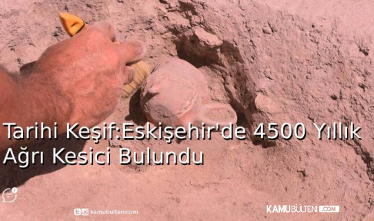 Tarihi Keşif: Eskişehir'de 4500 Yıllık Ağrı Kesici Bulundu