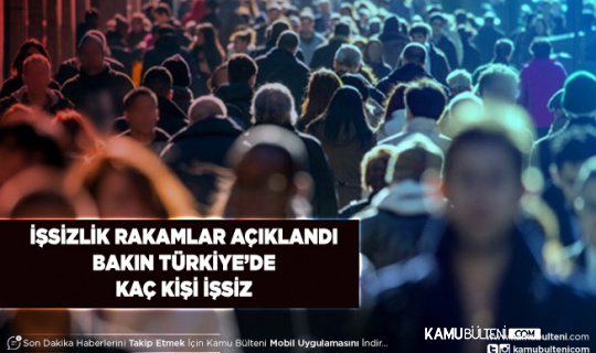 TÜİK İşsizlik Rakamlarını Açıkladı Bakın Türkiye’de Kaç İşsiz Var