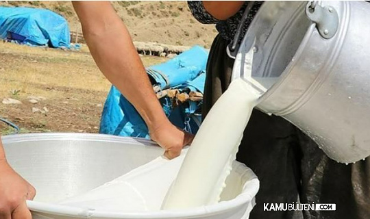 Çiftçiler ineklerini tek tek kesiyor! Süt üretimi tehlikede