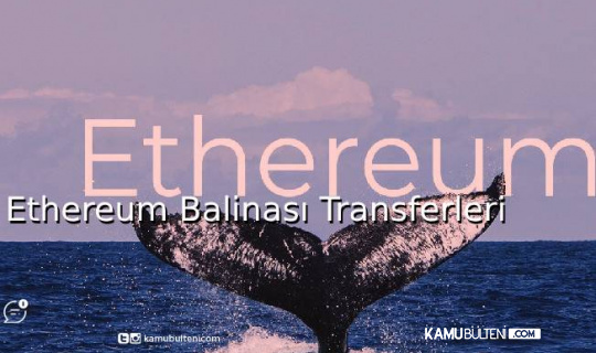 Ethereum Balinası Transferleri Ethereum Balinası Transferleri