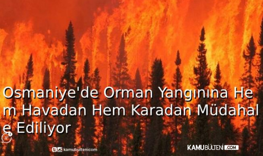 Osmaniye'de Orman Yangınına Hem Karadan Hem Havadan Müdahale Ediliyor