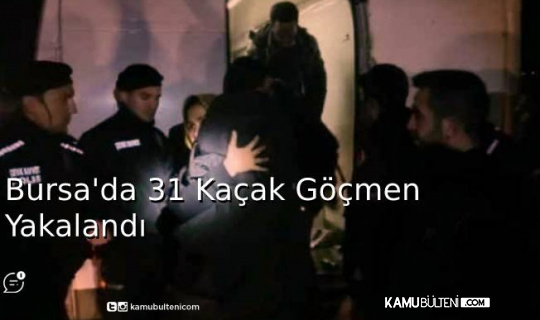 Bursa'da 31 Kaçak Göçmen Yakalandı