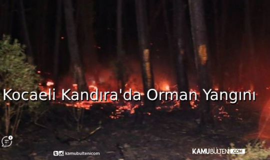 Kocaeli Kandıra’da Orman Yangını