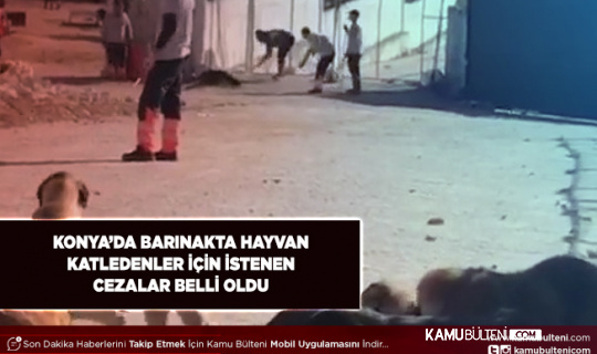 Konya’da Barınakta Hayvan Katledenlere İstenen Cezalar Belli Oldu