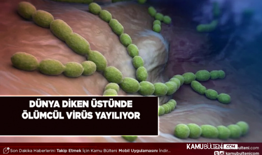 Ölümcül Virüs Dünyaya Yayılıyor Son Kurbanı 5 Yaşındaki Çocuk