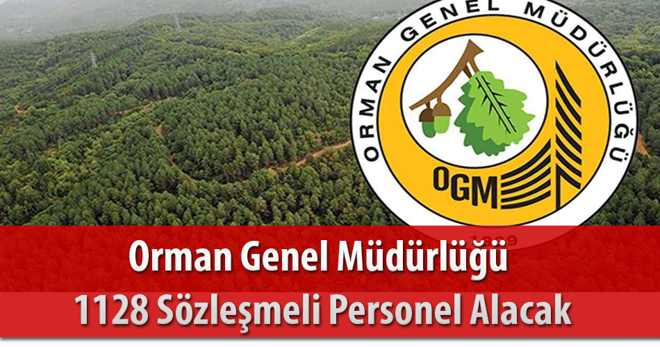 OGM 1128 Sözleşmeli Personel Alacak