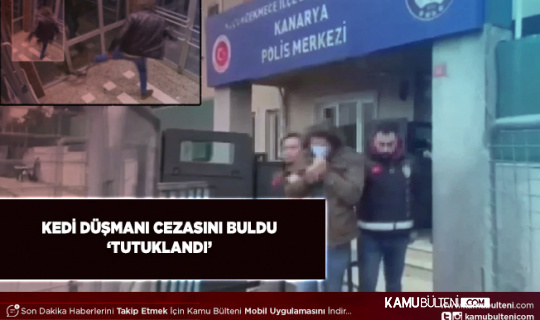 Kedi Düşmanı Ettiğini Buldu Tutuklanarak Cezaevine Gönderildi