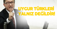 Lütfü Türkkan : 4 Milyon Suriyeliyi Alıyorsunuz, Uygur Türklerini Havalimanında Bekletiyorsunuz