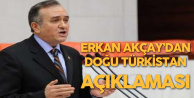 MHP Grup Başkanvekili Erkan Akçay'dan Doğu Türkistan Açıklaması