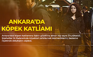 Ankara Batıkent'teki Köpek Katliamıyla İlgili Yeni Gelişme! Gözaltı Sayısı 3'e yükselti
