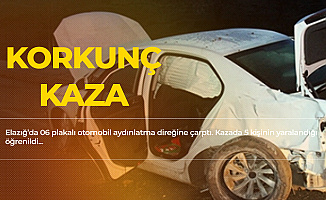 Elazığ'da Korkunç Kaza! 5 Kişi Yaralandı
