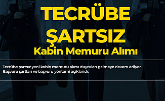 Pegasus'a Tecrübe Şartsız Kabin Memuru Alımı Yapılacak - İşte Şartlar