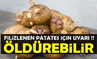 Filizlenen Patatesin Zararları Açıklandı: Öldürebilir