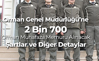 OGM 2 Bin 700 Orman Muhafaza Memuru Alımı Yapacak - Başvuru Şartları Neler?