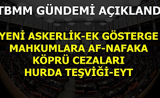 TBMM'nin Seçime Kadarki Gündeminde Mahkumlara Af-EYT-3600 Ek Gösterge-Askerlik-Nafaka Var mı?