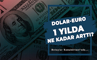 ABD Dolarının 1 Yıllık Değişimi! Temmuz Ayı Güncel Dolar, EURO Fiyatları