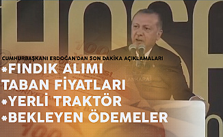 Cumhurbaşkanı Erdoğan: Fındık Alımı Fiyatları Netleşti, TMO Fındık Alımı Yapmaya Başlıyor!