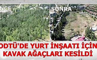 ODTÜ'de Yurt İnşaatı İçin Ağaçların Kesildiği Yerin Görüntüsü