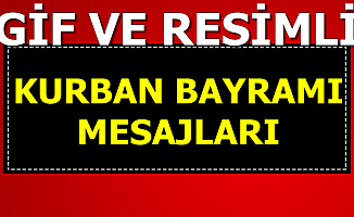 kamu bulteni