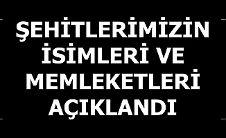 Silopi Şehitlerinin İsimleri ve Memleketleri Açıklandı