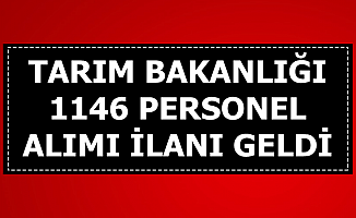 Tarım ve Orman Bakanlığı 1146 Personel Alımı İlanı Yayımlandı (Mühendis-Avukat-Büro Personeli Şoför)