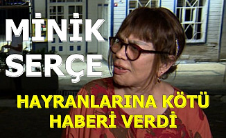 Minik Serçe'den Hayranlarına Kötü Haber