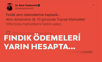 Tarım Bakanı Açıkladı! Fındık Ödemeleri Başlıyor