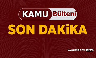 İngiltere'de Bir Kamyonda 39 Ceset Bulundu (Essex Nerede?)