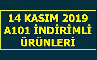 Katalog