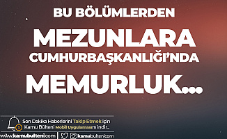 Bu Bölümlerden Mezunlara Cumhurbaşkanlığı'nda Memurluk Şansı! Memur alımı başvurularında son saatlere girildi...