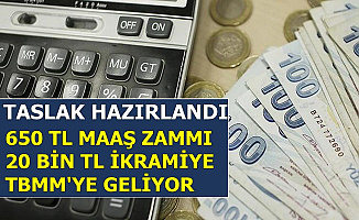 Emekli Maaşı ve İkramiyesine Ek Gösterge Zammı 2020'ye Kaldı