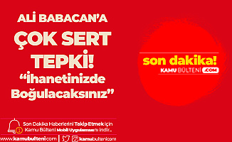 Mehmet Metiner'den Ali Babacan'a : İhanetinizde Boğulacaksınız