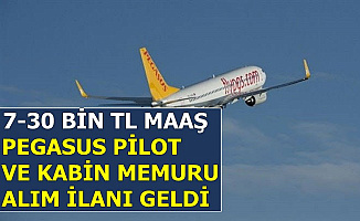 Pilot Alimi