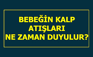Bebeğin Kalp Atışı Ne Zaman Duyulur?