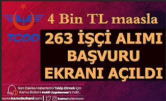 TCDD 263 İşçi Alımı Başvuru Ekranı Açıldı
