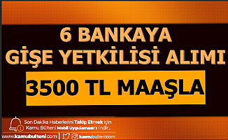 6 Bankaya 3500 TL Maaşla Gişe Personeli Alımı