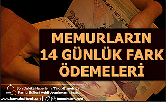 Memurların 14 Günlük Fark Ödemesi Hesaplara Yatıyor-Enflasyon Farkı Ne Kadar?