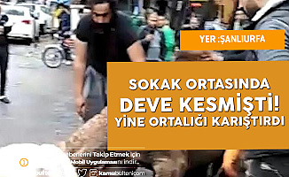 Şanlıurfa'da Sokak Ortasında Deve Kesen Iraklı Bu Sefer de Hayvan Pazarını Karıştırdı!