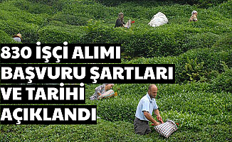 ÇAYKUR 830 İşçi Alımı Başvuru Şartları ve Tarihi Açıklandı