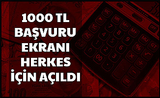 1000 TL Nakit Desteği Almak İsteyenler Dikkat: Başvuru Ekranı Herkes İçin Açıldı