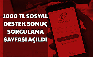 1000 TL Yardım Başvuru Sonuç Ekranı Açıldı-Pandemi 1000 TL Ödenmeye Başladı