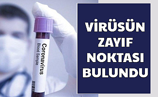 Coronanın Aşısı ve İlacı İçin Umutlandıran Haber: Virüsün Zayıf Noktası Bulundu