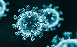 Güncel Türkiye Koronavirüs Yoğunluk Haritası Açıklandı