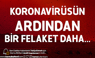 Koronavirüsün Ardından Bir Felaket Daha! Kötü Haberi Duyurdular