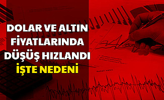 Son Dakika: Dolar ve Altın Fiyatı Düştü (Neden Düşüyor ? Tahminler)