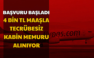 kabin memuru