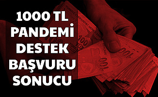 1000 TL Pandemi Destek Başvuru Sonuçları Açıklandı