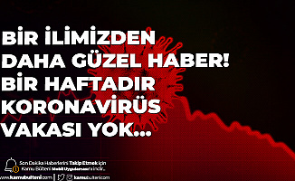 Bir Güzel Haber Daha! Bayburt'ta 1 Haftadır Koronavirüs Vakasına Rastlanılmadı